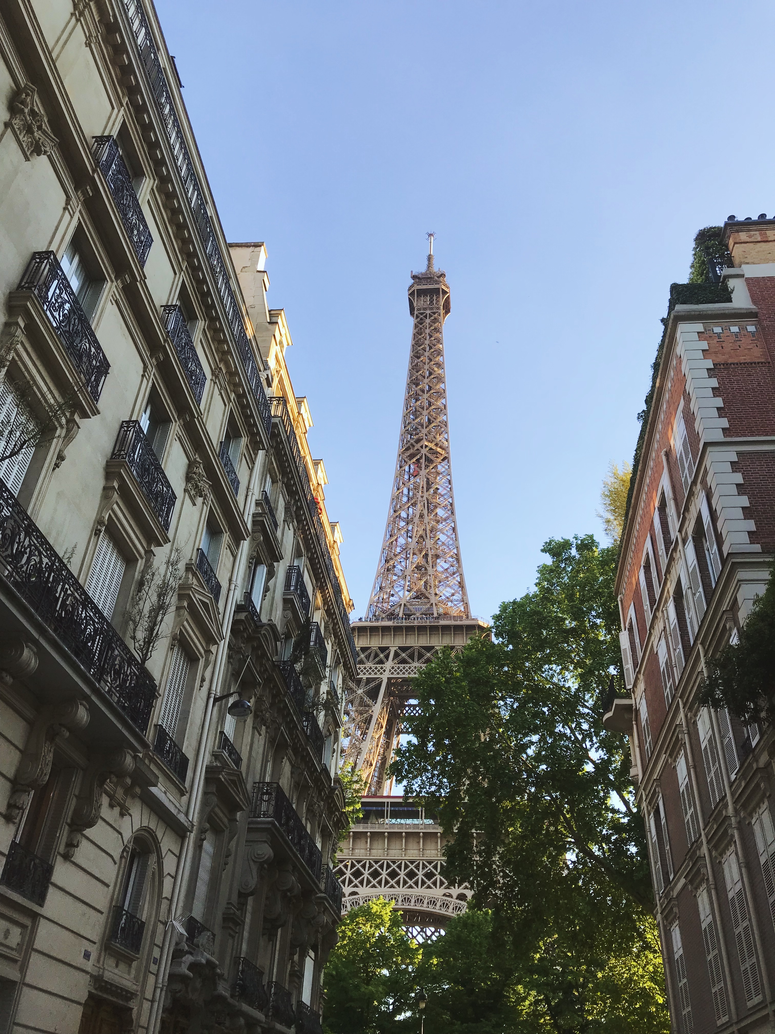 Processed with VSCO with m3 preset